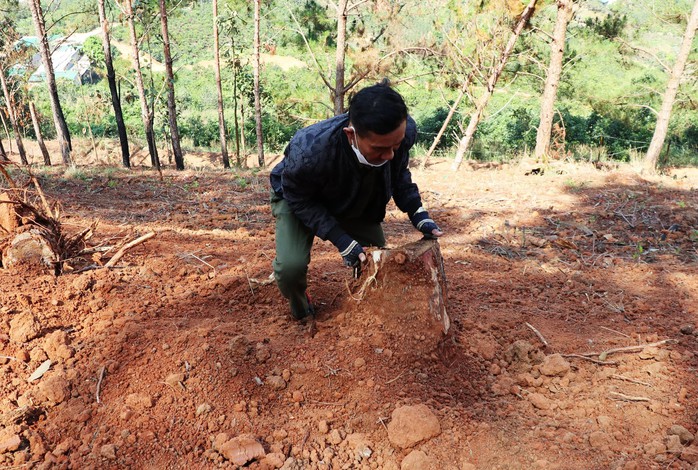 Lâm Đồng: 12 người chiếm hơn 115.000m2 đất rừng sản xuất - Ảnh 1.