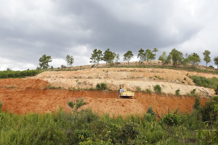 Lâm Đồng từ chối nghiên cứu quy hoạch dự án Dragon Hill Park 11ha trên đất rừng - Ảnh 1.