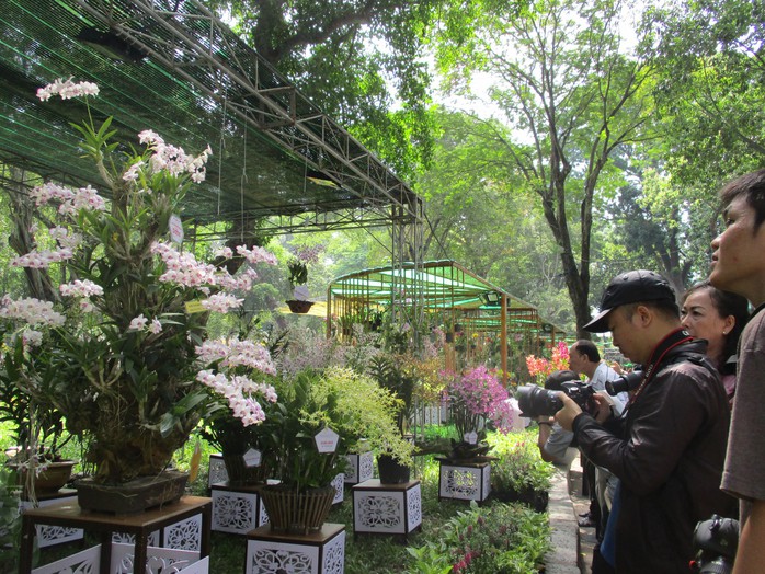 Festival Hoa lan TP HCM trở lại sau 4 năm - Ảnh 3. Festival Hoa lan TP HCM trở lại sau 4 năm - Ảnh 3.