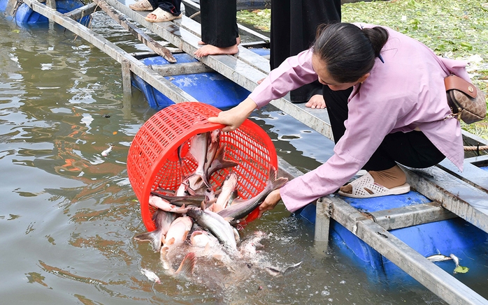 Tái tạo nguồn thủy, hải sản - Ảnh 1.