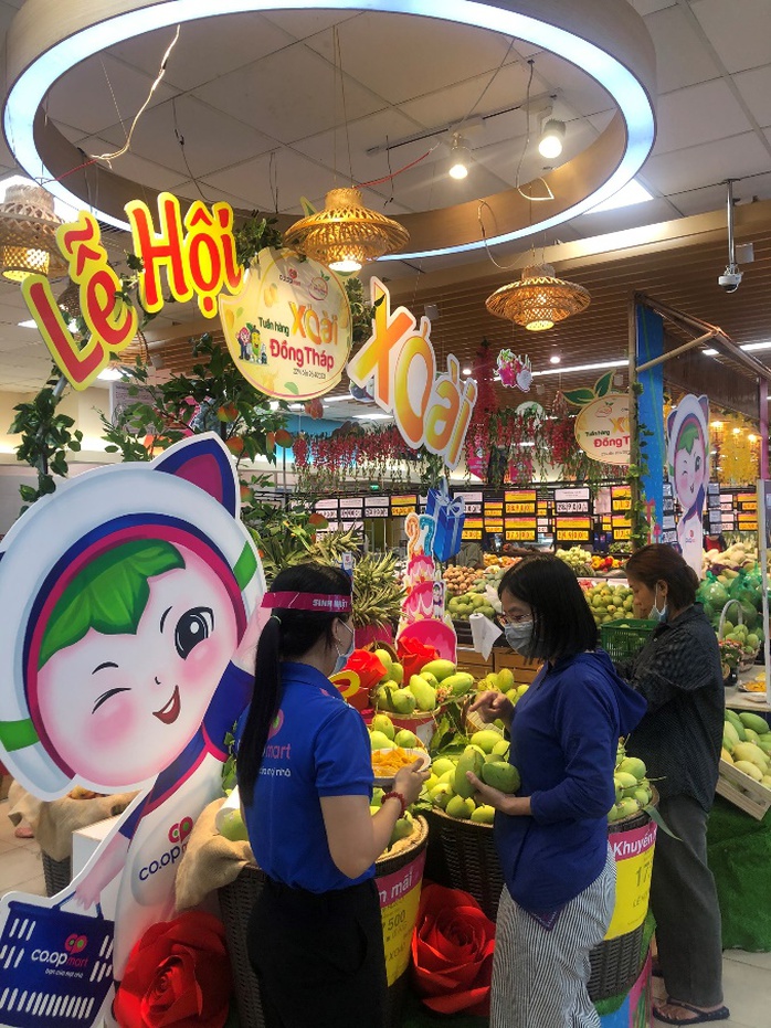 Co.opmart dự ước tiêu thụ hơn 200 tấn xoài Đồng Tháp - Ảnh 1. Co.opmart dự ước tiêu thụ hơn 200 tấn xoài Đồng Tháp - Ảnh 1.
