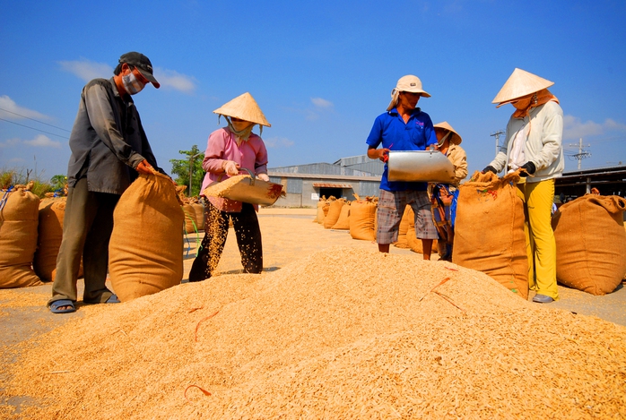 Chiều nay, Báo Người Lao Động tổ chức hội thảo Nâng tầm nông - thủy sản Việt - Ảnh 1.