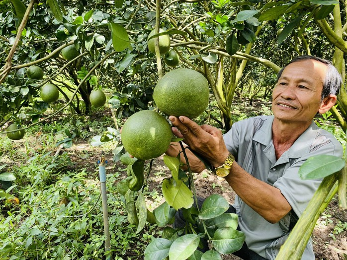 Chiều nay, Báo Người Lao Động tổ chức hội thảo Nâng tầm nông - thủy sản Việt - Ảnh 2.