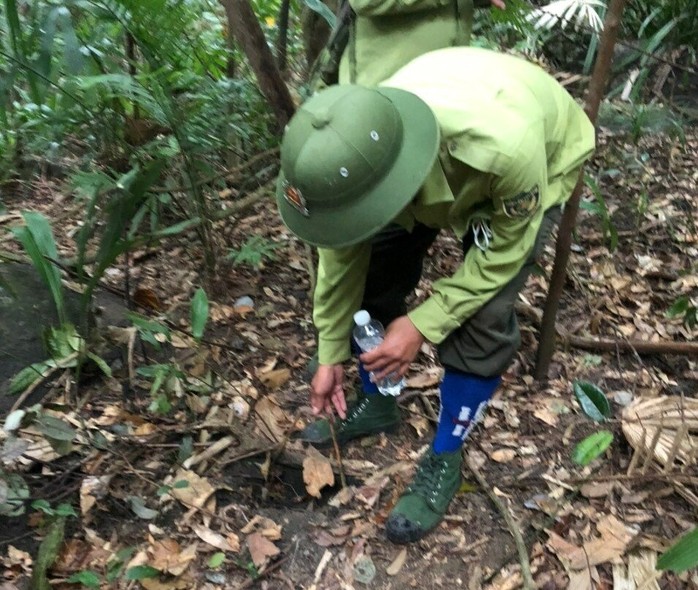 Bẫy thú dày đặc trên bán đảo Sơn Trà, đại diện kiểm lâm nói gì? - Ảnh 4.