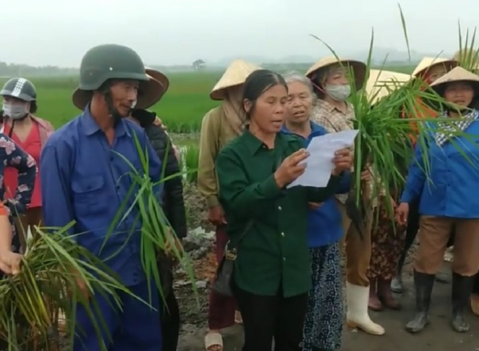 Thực hư việc một huyện ở Thanh Hóa cho máy múc phá lúa của dân? - Ảnh 1.