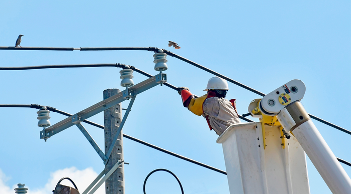 EVNSPC sẵn sàng đảm bảo cấp điện tại 21 tỉnh phía Nam trong dịp lễ - Ảnh 4.
