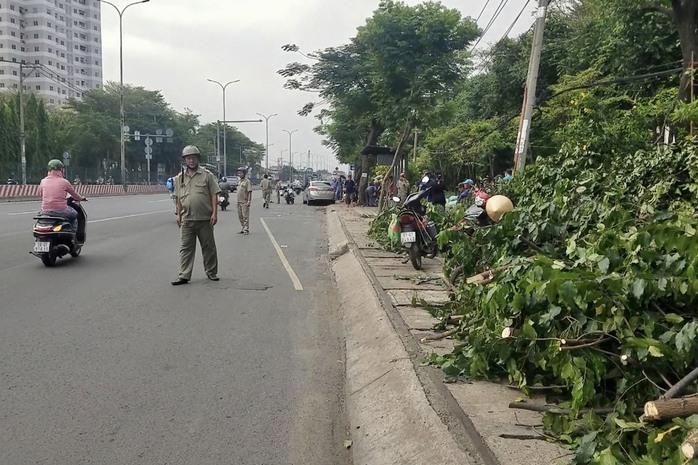 Ôtô lao lên vỉa hè tông trúng 2 nhân viên cây xanh ở TP HCM - Ảnh 1.