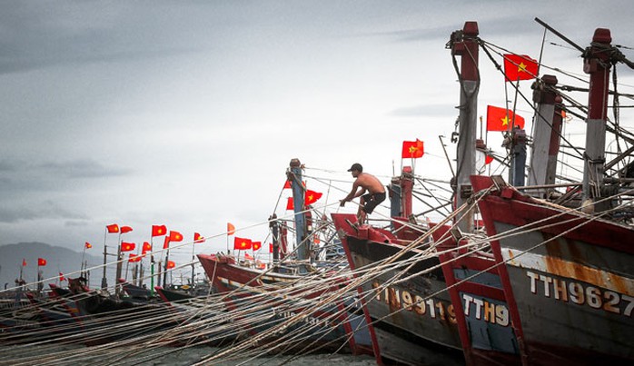 Dự báo biển động mạnh từ Quảng Ninh đến An Giang cần chủ động ứng phó - Ảnh 1.