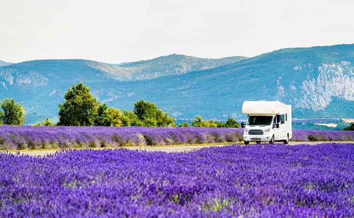 “Refresh” tinh thần hiệu quả ở những vườn lavender đẹp nhất thế giới - Ảnh 2.