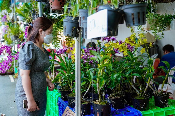 Nhiều điểm mới tại Hội chợ - Triển lãm Giống TP HCM năm 2023 - Ảnh 2. Nhiều điểm mới tại Hội chợ - Triển lãm Giống TP HCM năm 2023 - Ảnh 2.