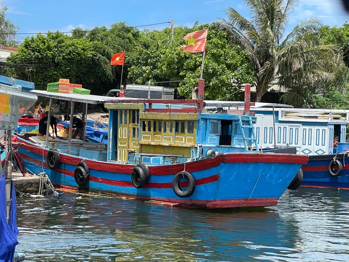 CÔN ĐỒ LỘNG HÀNH Ở VỊNH VÂN PHONG (*): Tiếng ngư dân, ai thấu? - Ảnh 3.