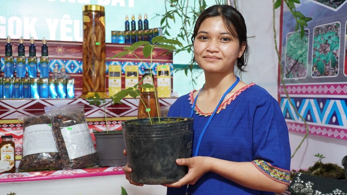 N&acirc;ng tầm s&acirc;m Việt - Ảnh 1.