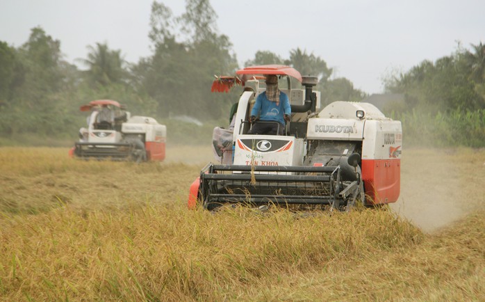 Kỳ vọng đề án 1 triệu ha lúa chất lượng cao - Ảnh 2.