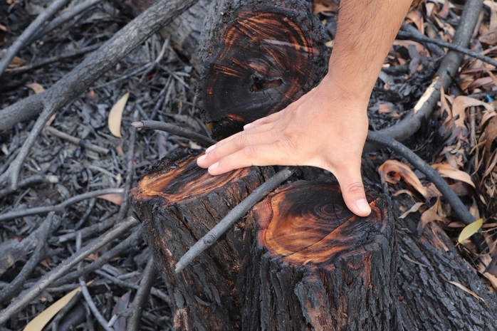 Đốt rừng phòng hộ để diễn tập chữa cháy cho… sát thực tiễn - Ảnh 21.