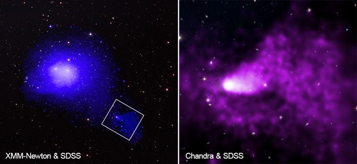 NASA chụp được “quái vật” khủng khiếp nhất vũ trụ, nuốt cả cụm thiên hà - Ảnh 1.