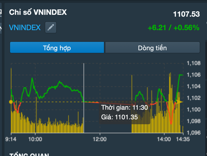 Nhà đầu tư “đi tàu lượn” trong ngày chứng khoán kịch tính - Ảnh 2.