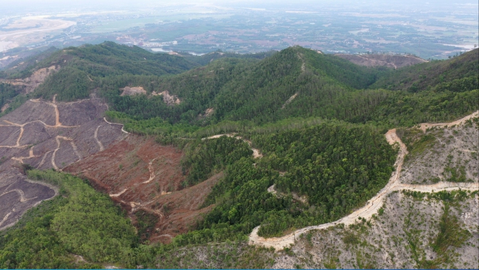Vụ cấp sai sổ đỏ làm mất 50 ha rừng ở Quảng Nam: Bắt kẻ lừa hơn 22 tỉ đồng - Ảnh 2.