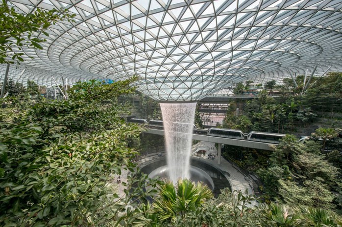 Hình mẫu xanh hóa từ Singapore - Ảnh 1. Hình mẫu xanh hóa từ Singapore - Ảnh 1.