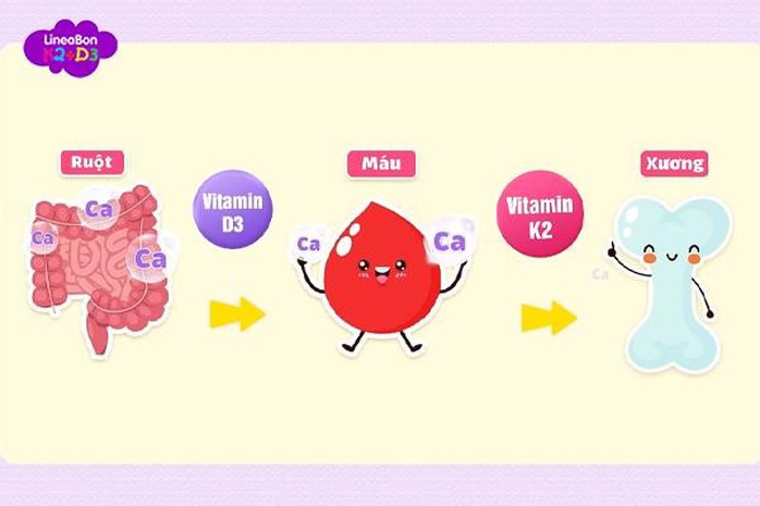 Vì sao thiếu Vitamin D3, K2 lại gây ra tình trạng khó ngủ ở trẻ - Ảnh 2. Vì sao thiếu Vitamin D3, K2 lại gây ra tình trạng khó ngủ ở trẻ - Ảnh 2.