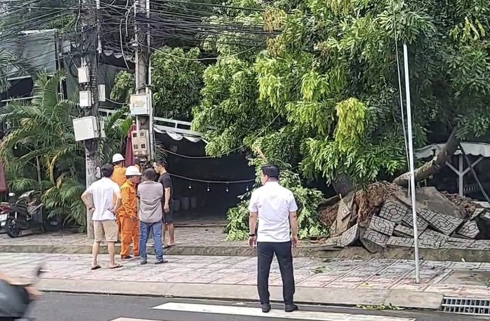 Mưa lớn kèm gió mạnh, cây xanh bật gốc - Ảnh 5.