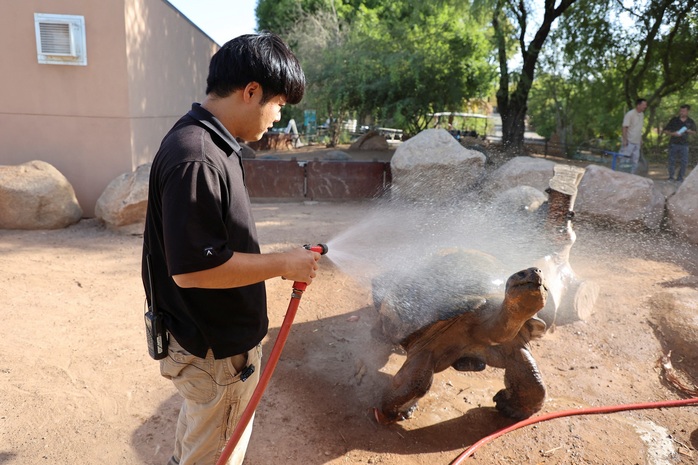 Thiệt hại nặng do thời tiết cực đoan - Ảnh 1.