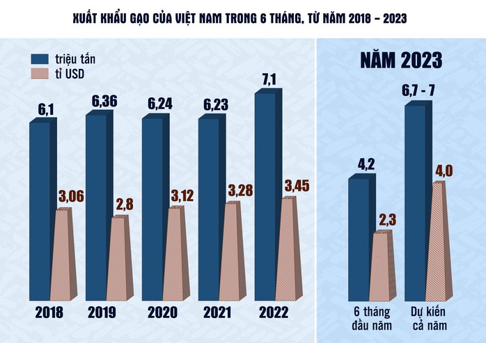 Cân đối xuất khẩu và tiêu dùng nội địa - Ảnh 1.