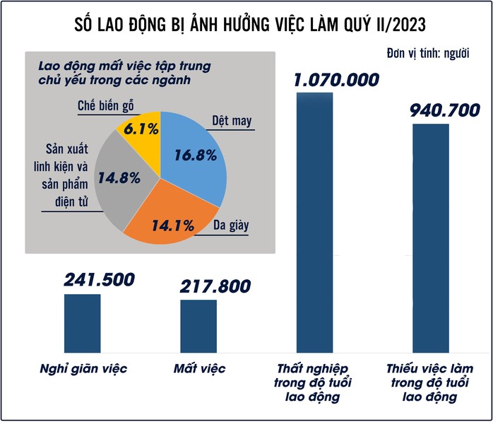 Tìm việc làm ngày càng khó, vì sao?: Mất việc, giãn việc... - Ảnh 3.