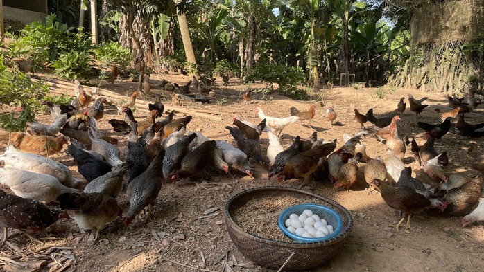 Khép kín từ trang trại đến bàn ăn - Ảnh 2.