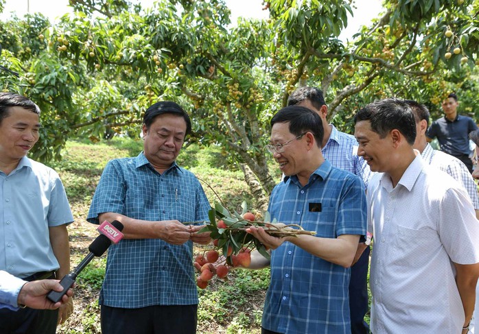 Bộ trưởng Lê Minh Hoan: Không kể thành tích, không than khó, hãy nêu giải pháp - Ảnh 1.