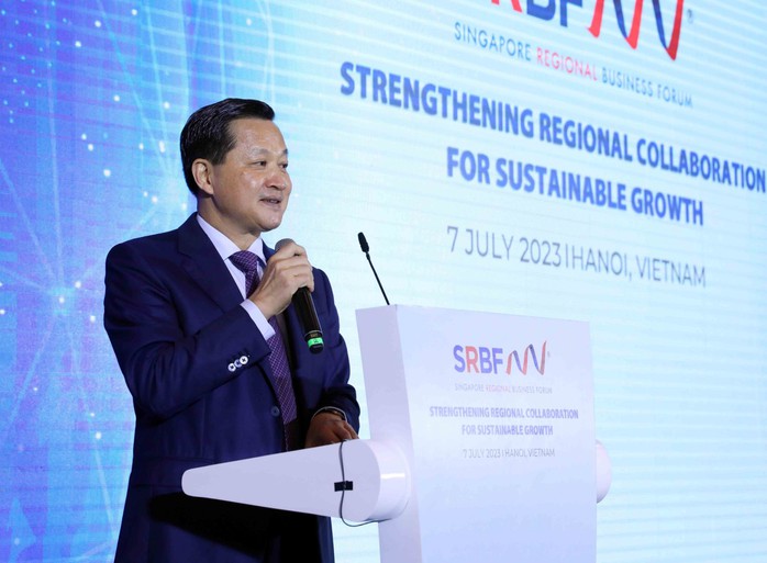 Phó Thủ tướng đề nghị Singapore hỗ trợ Việt Nam tiếp cận các nguồn đầu tư - Ảnh 1.
