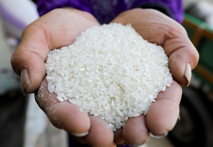 Tăng 19,7% trong 1 năm, giá gạo toàn cầu chạm đỉnh 12 năm - Ảnh 1.