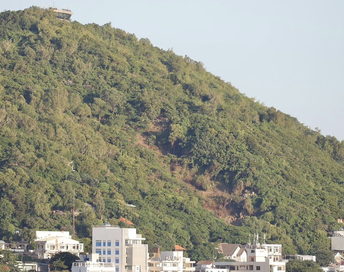 Cây xanh bị chặt, núi Nhỏ Vũng Tàu nhìn như bị sụt lún - Ảnh 1.