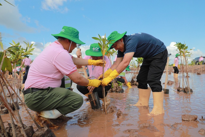 Khởi động dự án trồng cây bảo vệ đa dạng sinh học tại trang trại nuôi tôm C.P. Việt Nam - Ảnh 3. Khởi động dự án trồng cây bảo vệ đa dạng sinh học tại trang trại nuôi tôm C.P. Việt Nam - Ảnh 3.