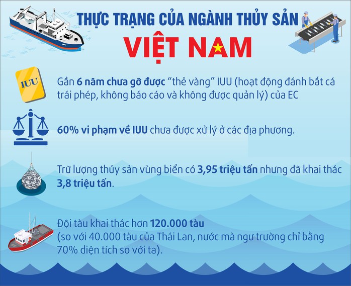 VIỆT NAM NỖ LỰC GỠ THẺ VÀNG IUU: Không thể biện minh do nghèo - Ảnh 1.