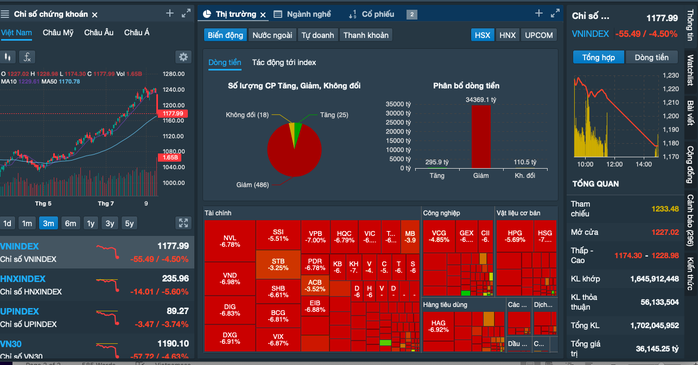 Gần 280 mã chứng khoán giảm sàn, VN-Index lao dốc 55 điểm - Ảnh 1.