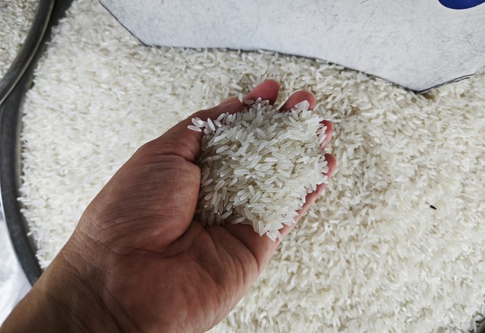 Một cổ phiếu ngành gạo tăng giá gần gấp 3 lần chỉ trong 2 tuần - Ảnh 2.
