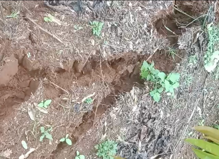 Đắk Nông: Xuất hiện thêm nhiều vết nứt mặt đất, có nơi sâu đến 2 mét - Ảnh 1.