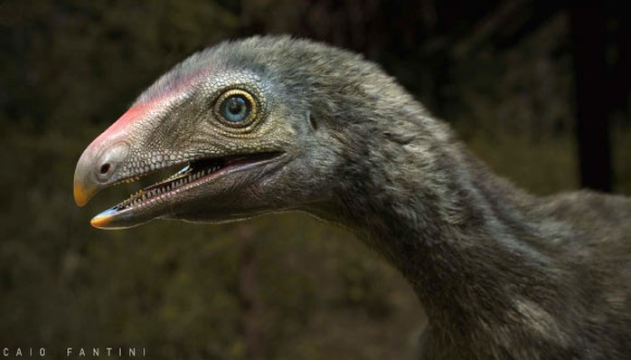Brazil: Lộ diện sinh vật lạ đuôi khủng long, tay khỉ, đầu chim ăn thịt - Ảnh 1.