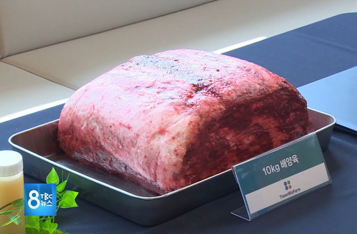 Châu Á hướng tới protein thay thế thịt - Ảnh 1. Châu Á hướng tới protein thay thế thịt - Ảnh 1.