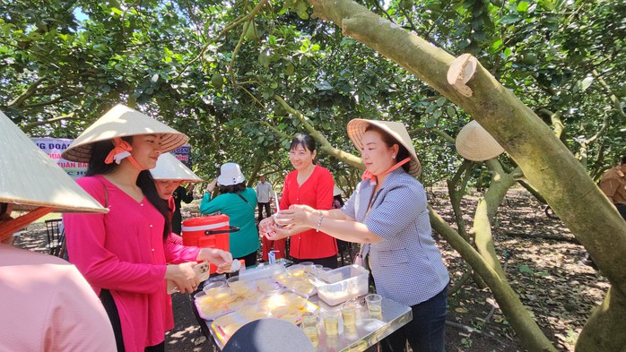 Có một “thủ phủ” trái cây khách du lịch ít biết ở Đồng Nai - Ảnh 1.