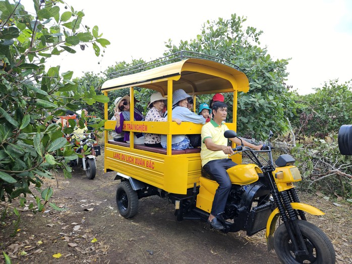 Có một “thủ phủ” trái cây khách du lịch ít biết ở Đồng Nai - Ảnh 8.