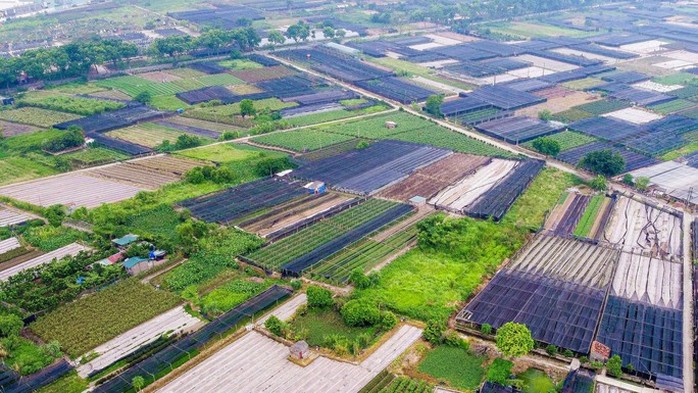 Quy định về đấu giá đất nông nghiệp của TP Hà Nội trái pháp luật - Ảnh 1.