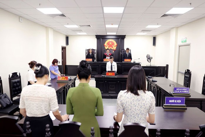 Nguyên thẩm phán Trương Việt Toàn: Không nên mặc định kiện cơ quan quản lý là thua kiện - Ảnh 1.