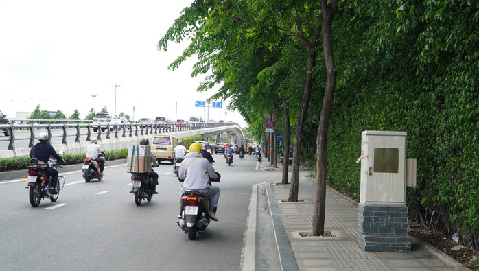 Hàng cây bị bức tử trên đường vào sân bay Tân Sơn Nhất được giải cứu - Ảnh 1.