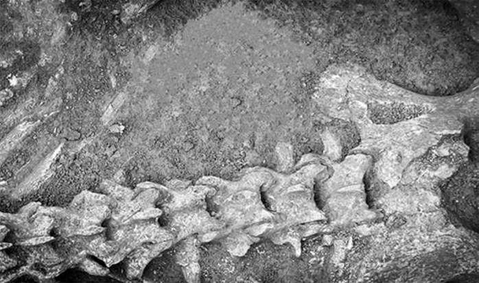 Giật mình với hài cốt khổng lồ trong lăng mộ Trung Quốc 2.100 năm - Ảnh 1.