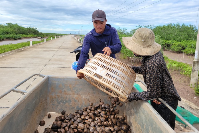 Nỗ lực trồng rừng được đền đáp - Ảnh 3.