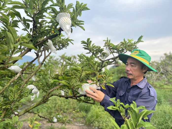 Có gì đặc biệt tại sự kiện Ngày Tây Ninh tại Hà Nội? - Ảnh 4.