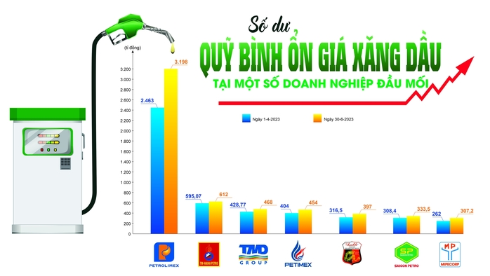 Quỹ bình ổn dư đậm, sao không xả kịp thời? - Ảnh 3.