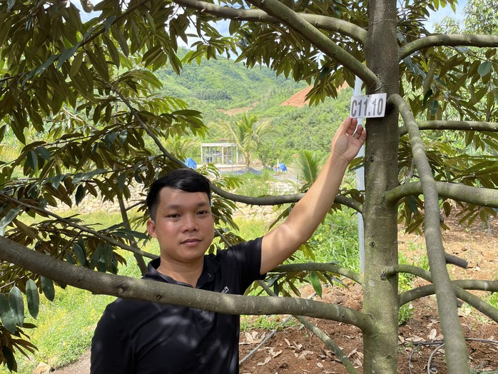 Xây thương hiệu sầu riêng organic Khánh Sơn - Ảnh 2.