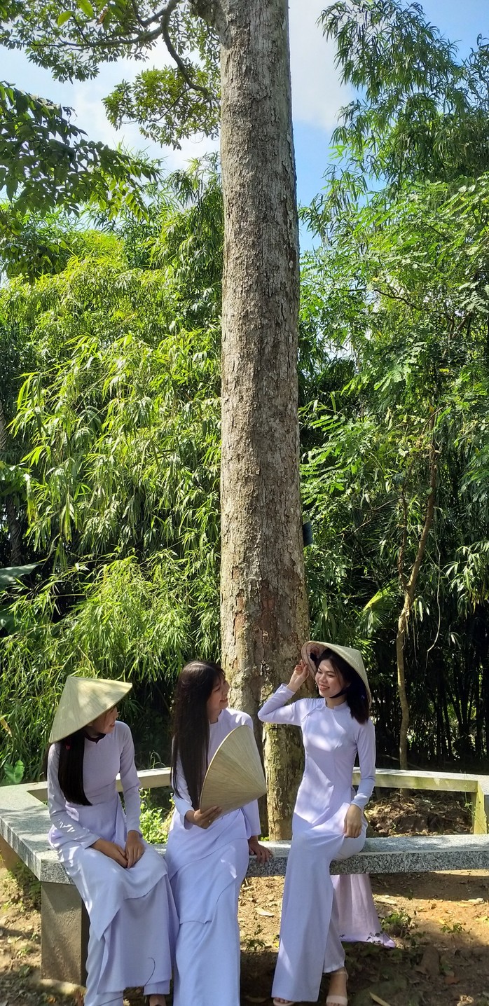 CLIP: Cận cảnh cây sầu riêng hơn 100 năm ở miền Tây - Ảnh 9.